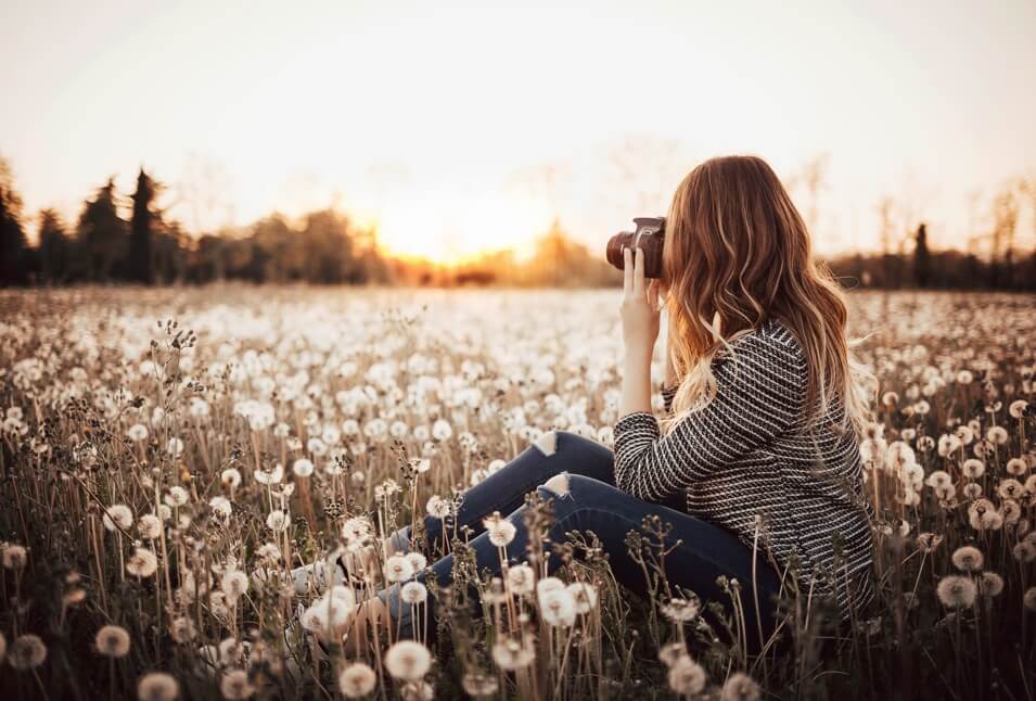 A woman sitting sideways in a field of dandelions aiming a camera at the sunset behind her