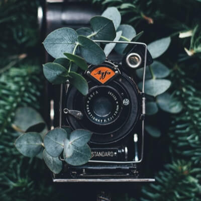 Camera lens surrounded by green leaves